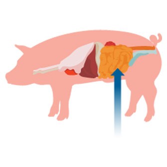 Quando utilizzare ZINKING™